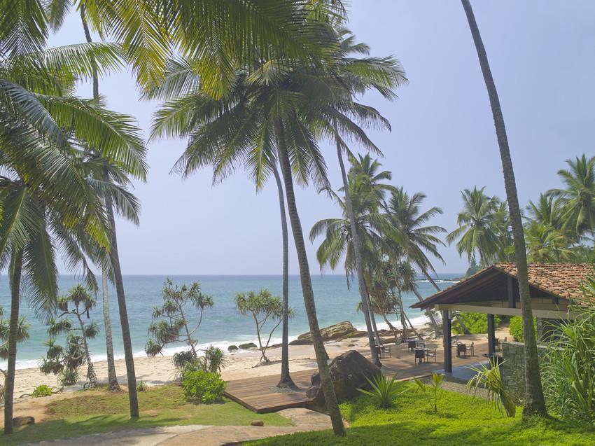 Hotel Amanwella Tangalle Natur foto